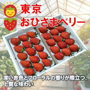 uЂ܃x[v2pbN10ItԒ12{܂Łyʏ퉿i6,300~5,670~z(9`20^1pbNji350g^1pbN )yz  嗱  u