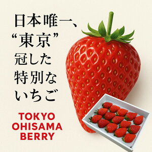 嗱nuЂ܃x[v10ItԒ12{܂Łyʏ퉿i3,850~3,460~z(9`20A350g)yz܂ C`S  Mtg ʕ v[g 