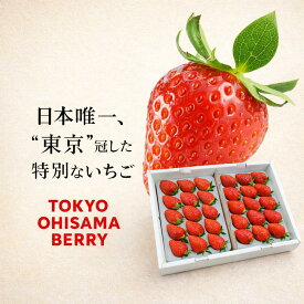 希少いちご「東京おひさまベリー」2パック (9〜20粒／1パックあたり）（約350g／1パックあたり )【送料無料】 希少品種 完熟朝採り 贈答 イチゴ 苺 果物 誕生日／成人の日、新年会、バレンタインデー、節分、合格祝