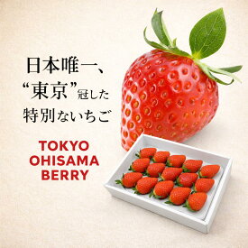 希少いちご「東京おひさまベリー」(9〜20粒入り、約350g)【送料無料】希少品種 完熟朝採り 贈答 高級 イチゴ 苺 果物 プレゼント 誕生日／成人の日、新年会、バレンタインデー、節分、受験、合格祝