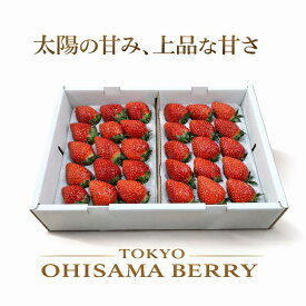 希少いちご「東京おひさまベリー」2パック (9〜20粒／1パックあたり）（約350g／1パックあたり )【送料無料】 希少品種 完熟朝採り 贈答 イチゴ 苺 果物 誕生日／バレンタインデー、節分、受験、合格祝