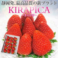 大粒いちご「きらぴ香」(約400g、9〜15粒入り)【送料無料】静岡産 贈答用 大粒 イチゴ 苺 ギフト スイー…