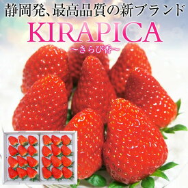 いちご大粒「きらぴ香」2パック(約400g×2、18〜30粒入り)　【送料無料】静岡県産新ブランド 贈答用 大粒 イチゴ 苺 ギフト スイーツ 果物 プレゼント 贈り物 お礼品 御礼品 誕生日 祝い事 内祝 孫 子ども ／バレンタインデー、節分、受験、合格祝