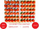 【28%OFF】【訳あり】【コロナ影響で在庫あり】【コロナに負けない!】【送料無料】静岡産 希少品種「桃薫」 ふぞろいいちご お得パック 2パック(20〜36粒...