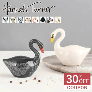 y30ItN[|zzzHannah Turner ni^[i[ Salt and Pepper i ni^[i[ RVE \gybp[{g  XpCX{g  傤 e u e