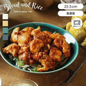 CHIPS チップス Bread and Rice ボウル 22.5cm パンとごはんと…艶釉の器 美濃焼（ Glossy Pottery 電子レンジ対応 鉢 中鉢 サラダボウル パスタボウル ラウンド 丸 パスタ サラダ カレー スープ 煮込み料理 おしゃれ ）