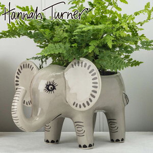 Hannah Turner ni^[i[ v^[ Gt@g Planter Elephant i v^[ ni^[i[ A vg|bg ~j|bg Aj}  ]E  ϗtA CeA A 