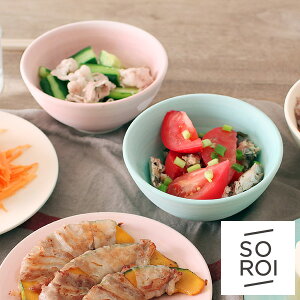 SOROI Usurai (\C EXC)Rice Bowl CX{E(ђq/dqW/H/Vv/X^CbV/菑/Z//CHIPSj