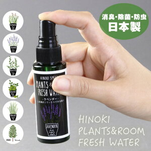 SPICE OF LIFE qmL VRLۃXv[ 50mlHINOKI SPRAY PLANTS&ROOM FRESH WATERigїp vc[tbVEH[^[  L 100%VR VRؑ]w [tOX qmL A