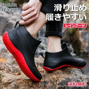 ySiIzCu[c fB[X C CV[Y h JC V[g ubN u[c Y y ₷ ʋ ~J V[gu[c Sh AEghA V[Y V