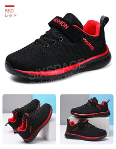 ySizj̎q ̎q qC  킢 Xj[J ʉLbY 킢Ct@Cg ^C cCt@g蕨 r[Xj[J[ WjA q j̎q ̎q qC 