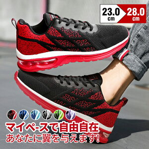 ySiIzXj[J[ Y    Jt WjA 25cm ʊw j̎q h Ȃ  w  ꂢ  L JWA jOV[Y ʋ EH[