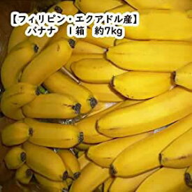 【送料無料】【フィリピン/エクアドル産】バナナ　1箱　約7kg(北海道沖縄別途送料加算)