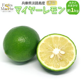 【送料無料】【兵庫県淡路島産】秀品マイヤーレモン　大きさお任せ　約1kg(北海道沖縄別途送料加算)