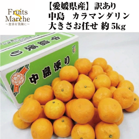 【送料無料】【愛媛県産】訳あり　中島のカラマンダリン　大きさお任せ　約5kg(北海道沖縄別途送料加算)