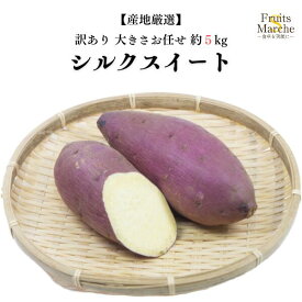 【送料無料】シルクスイート さつまいも 約5kg 訳あり 大きさお任せ 1箱 産地厳選 送料無料 （北海道・沖縄県は別途送料加算）