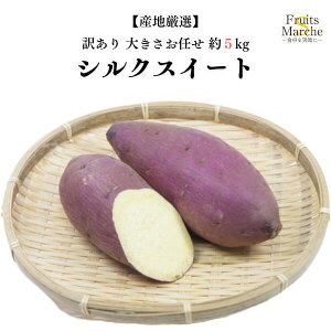 yIzVNXC[g ܂ 5kg 󂠂 傫C 1 YnI  ikCEꌧ͕ʓrZj