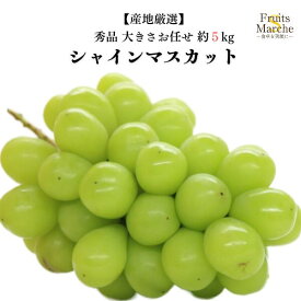 【送料無料】シャインマスカット ぶどう 約5kg 秀品 産地厳選 送料無料 （北海道・沖縄県は別途送料加算）