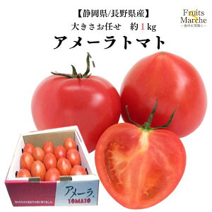 yzyÉ/쌧YzA[g}g@傫C@1kg(kCʓrZ)