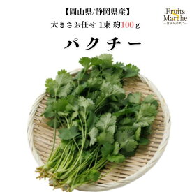 【送料別】【岡山県/静岡県産】パクチーコリアンダー 香菜 大きさお任せ 1束 約100g 【野菜詰め合わせセットと同梱で送料無料】