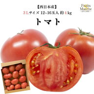 【送料無料】【産地厳選】トマト　2L～3Lサイズ　12玉〜16玉入り　約4kg(北海道沖縄別途送料加算)