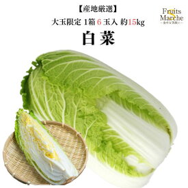 【送料無料】【産地厳選】白菜　6玉入り　大玉　約15kg(北海道沖縄別途送料加算)