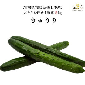 【送料無料】【宮崎県/愛媛県/西日本産】新鮮きゅうり　1箱　大きさお任せ　約5kg(北海道沖縄別途送料加算)