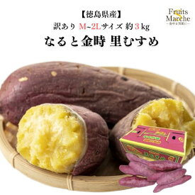 【送料無料！】なると金時 里むすめ さつまいも M〜2Lサイズ 約3kg 訳あり 鳴門金時 徳島県産 送料無料（北海道・沖縄県は別途送料加算）