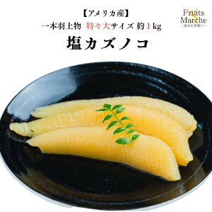 yIz̎q ̎q 1kg XTCY {H㕨 VR    Ε Mtg AJY  ikCEꌧ͕ʓrZj