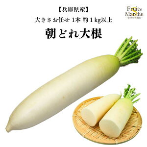 yIz卪 ̂卪  1{ 1kgȏ ɌY y؋lߍ킹ZbgƓőz