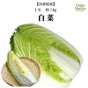 【送料別】【兵庫県産】白菜 1個 約2kg 【野菜詰め合わせセットと同梱で送料無料】