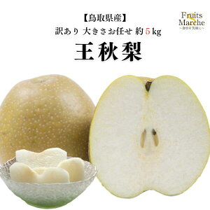 【送料無料!】梨 王秋 なし 王秋梨 約5kg 訳あり 大きさお任せ 鳥取 鳥取県産 送料無料 (北海道・沖縄県は別途送料加算)