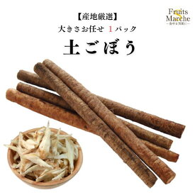 【送料別】【産地厳選】採れたて土ごぼう 大きさお任せ 1パック 約500g 【野菜詰め合わせセットと同梱で送料無料】