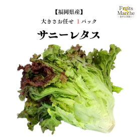 【送料別】【福岡県産】サニーレタス　1パック 【野菜詰め合わせセットと同梱で送料無料】