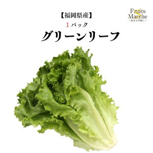 yʁzyYzO[[t 1pbN y؋lߍ킹ZbgƓőz