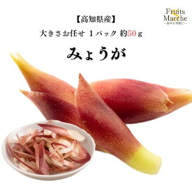 【送料別】【高知県産】みょうが　大きさお任せ　1パック　約50g　【野菜詰め合わせセットと同梱で送料無料】