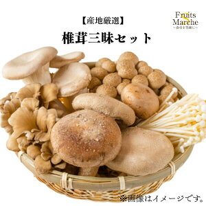 yzyYnIzőOZbg(kCʓrZ)