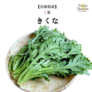 yʁzyɌYzte  1@y؋lߍ킹ZbgƓőz