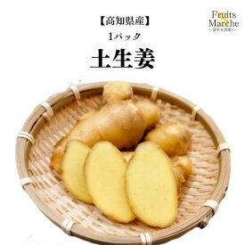 【送料別】【高知県産】土生姜 大サイズ 1パック 【野菜詰め合わせセットと同梱で送料無料】
