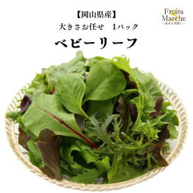 【送料別】【岡山県産】ベビーリーフ 大きさお任せ 1パック 【野菜詰め合わせセットと同梱で送料無料】