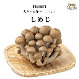 【送料別】【信州産】しめじ ぶなしめじ 大きさお任せ 1パック 【野菜詰め合わせセットと同梱で送料無料】