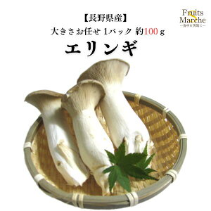 yʁzy쌧YzGM 傫C 1pbN 100gy؋lߍ킹ZbgƓőz