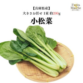 【送料別】【兵庫県産】小松菜 大きさお任せ　1束 約200g【野菜詰め合わせセットと同梱で送料無料】