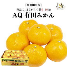 【送料無料】【和歌山県産】秀品　AQ有田みかん　L〜2Lサイズ　約9〜10kg(北海道沖縄別途送料加算)
