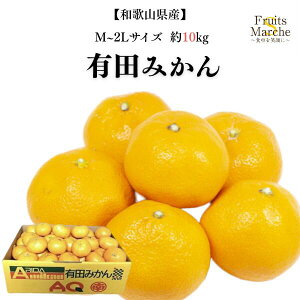 yzya̎RYzLc݂ M`2LTCY@10kg(kCʓrZ)