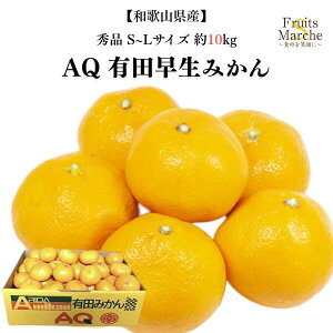 yzya̎RYzGi AQLc݂ S`LTCY@傫C@10kg(kCʓrZ)