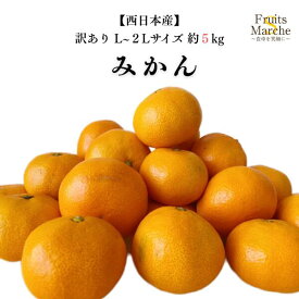 【送料無料】【西日本産】訳あり　みかん　L〜2Lサイズ　約5kg(北海道沖縄別途送料加算)