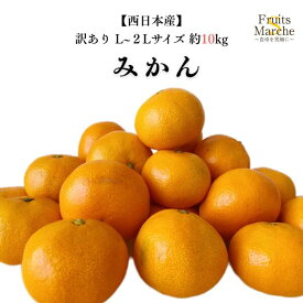 【送料無料】【西日本産】訳あり　みかん　L〜2Lサイズ　約10kg(北海道沖縄別途送料加算)