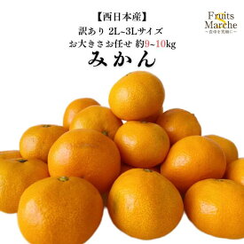 【送料無料】【西日本産】訳あり　大玉みかん　2L〜3Lサイズ　大きさお任せ　約9〜10kg(北海道沖縄別途送料加算)