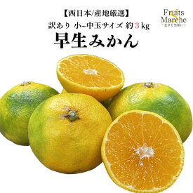 【送料無料】【西日本産】【産地厳選】訳あり 早生みかん 小〜中玉サイズ　約3kg(北海道沖縄別途送料加算)
